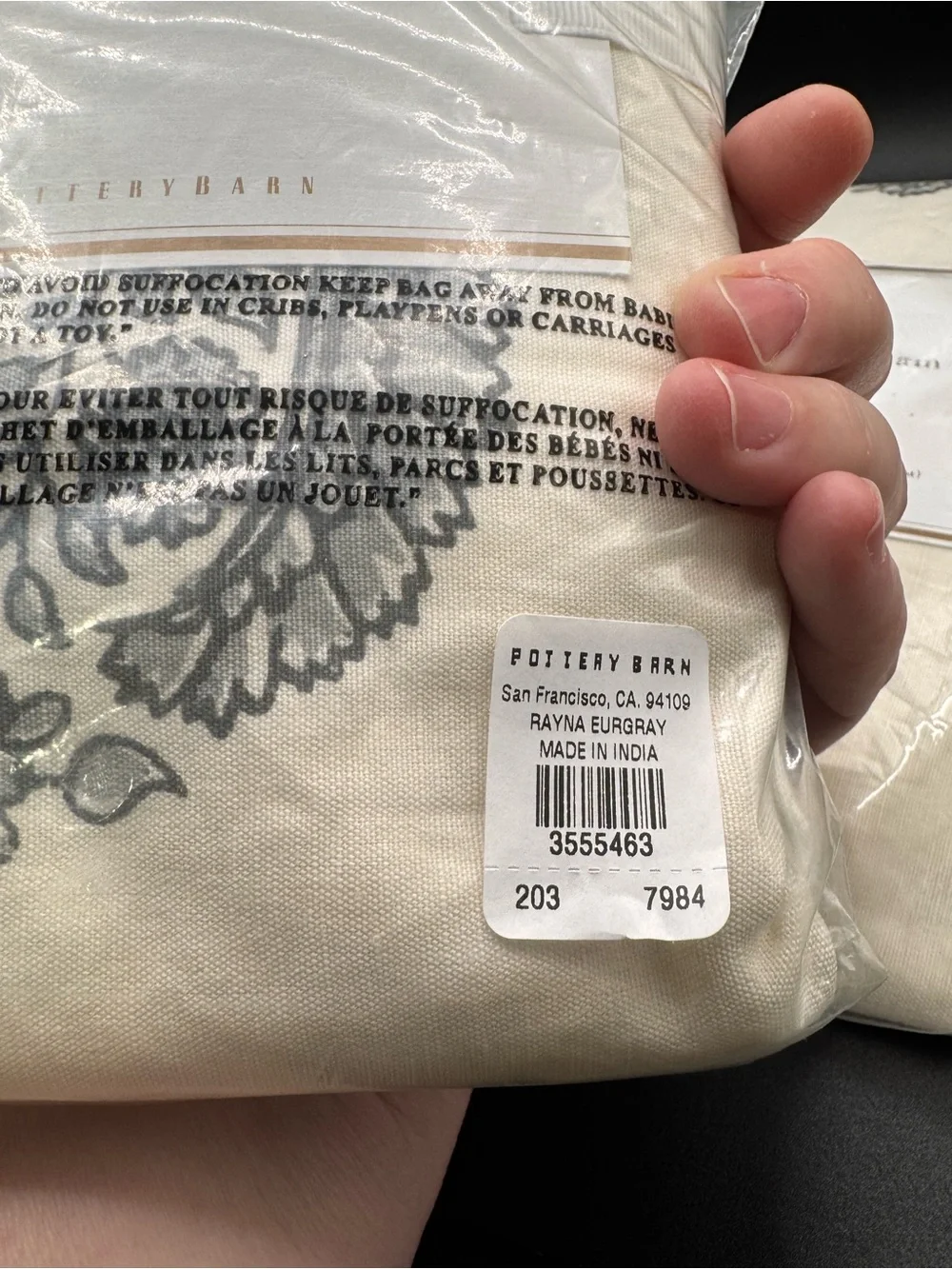 Pottery Barn Rayna Paisley Sham - Cream with Gray Paisley